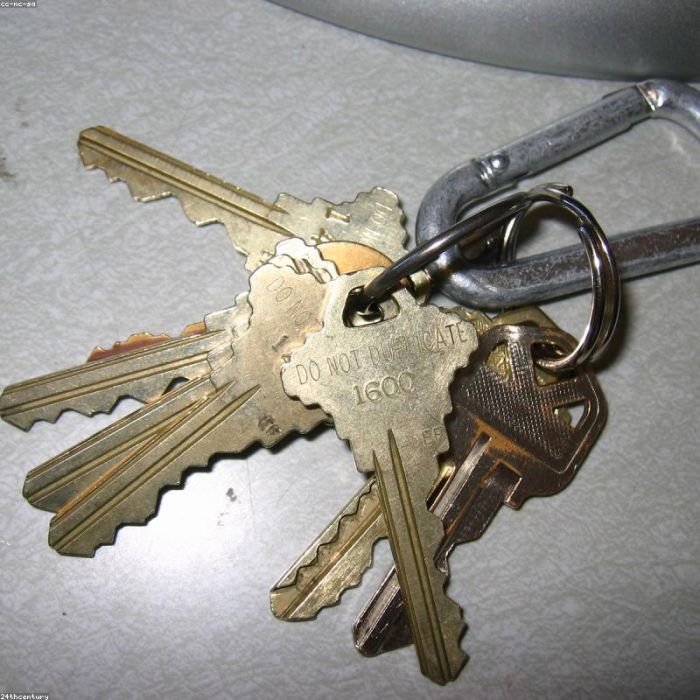 Carabiner Keyring