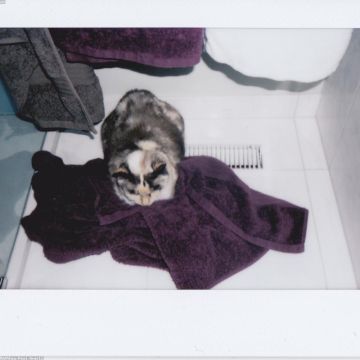 Bath Towel